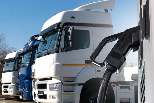 How Solar Companies Shape the Future of Clean Energy