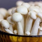 Safe Packaging Solutions for Shipping Cannabis and Mushroom Products