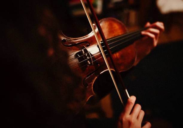 Where Can You Buy a Fiddle and Get the Best Value for Your Budget?