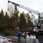Trusted Tree Service Springfield, IL for Tree Removal and Trimming