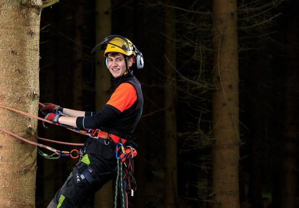 Experienced Tree Professionals at tree surgeon Heald Green Ready to Help