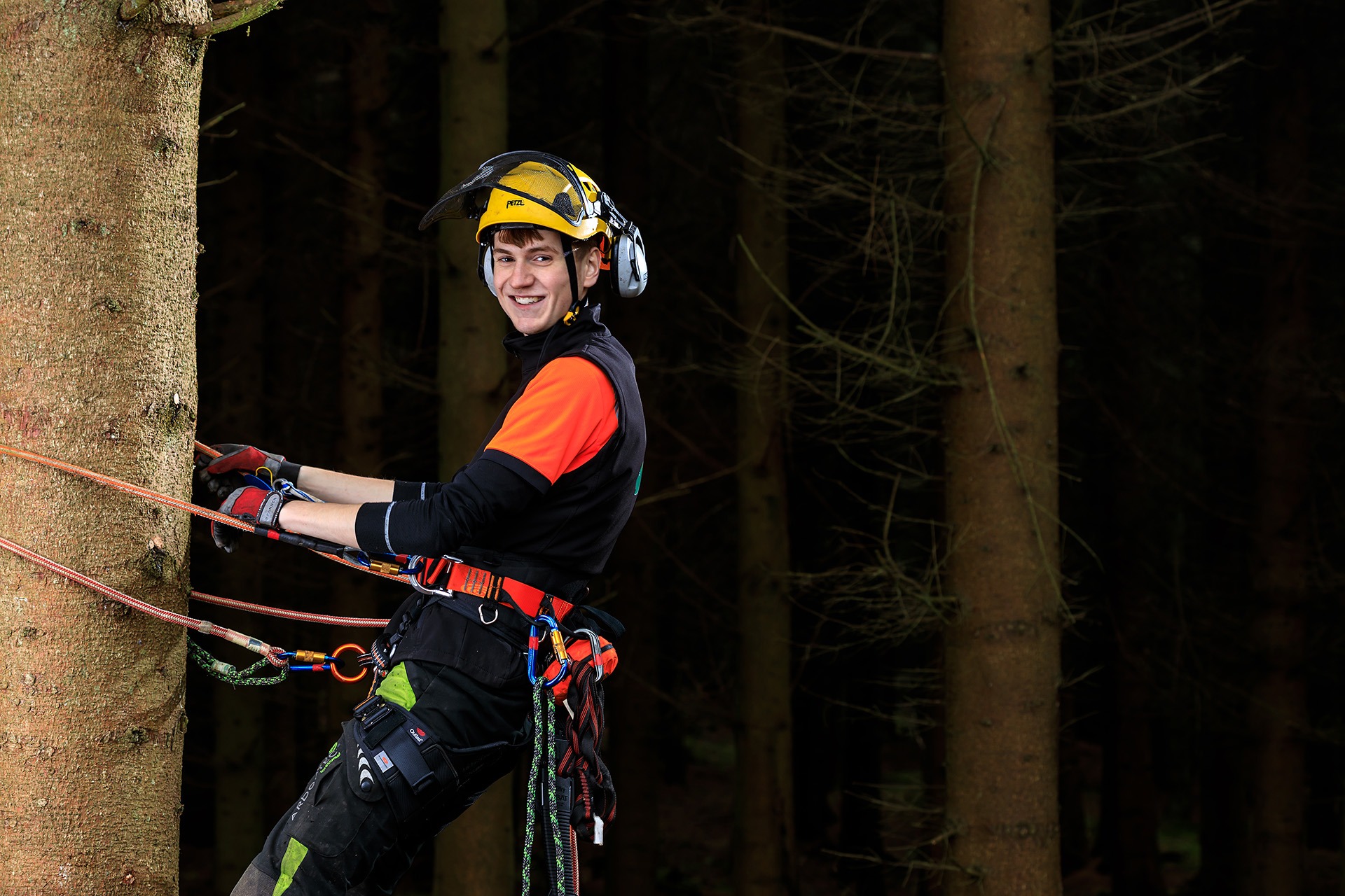 Experienced Tree Professionals at tree surgeon Heald Green Ready to Help