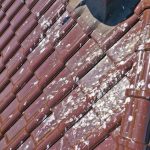Discover Discover the Available Services for Your Roofing Needs