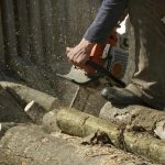 Wiese Tree Service LLC Mobile for Complete Tree Care