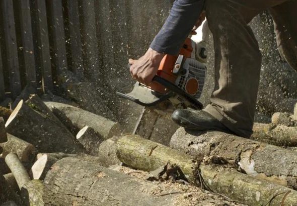 Wiese Tree Service LLC Mobile for Complete Tree Care