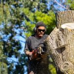 Your Reliable Partner for All Tree Service Needs