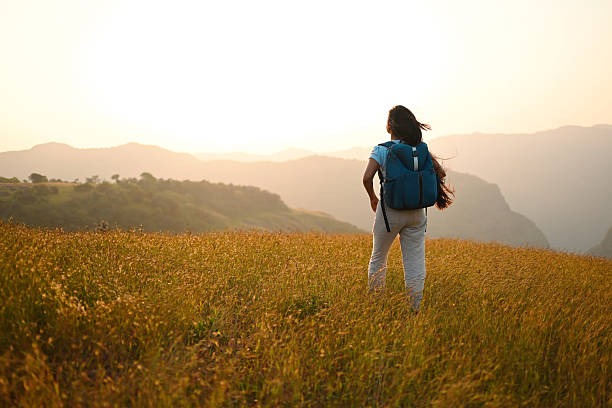 Exploring the Role of Natural Supplements in Everyday Stress Management